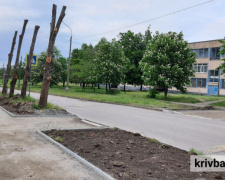 Обрізка дерев «до стовпа» - стоп: у Кривому Розі депутати підтримали петицію