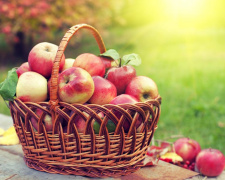 Як правильно зберігати яблука, щоб вони довго залишались свіжими: поради від Клопотенка