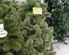 Какую елку выбрать на новогодние праздники и что предлагают в криворожанам в магазинах города (фото)