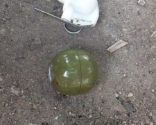 У жителя Кривого Рога полиция обнаружила пакет с гранатами