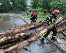 Негода на Дніпропетровщині: рятувальники ліквідували наслідки