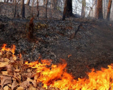 В Кривом Роге и Днепропетровской области объявили высокую пожарную опасность