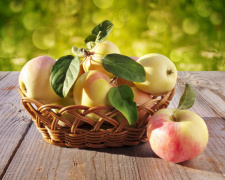 Яблучний Спас 2022: історія свята та як його відзначають