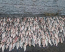 В Кривом Роге два рыбака попались на незаконном вылове рыбы
