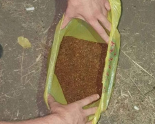 В Кривом Роге задержали местного жителя с 2,5 килограммами наркотиков