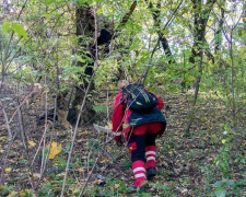 Волонтеры из Кривого Рога прочесали территорию села Миролюбовка в поисках пропавшей девочки