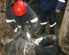 В Днепропетровской области мужчина провалился в уличный туалет (фото)