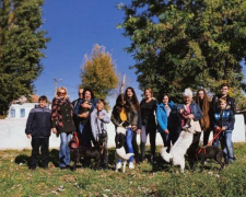 Активисты приглашают криворожан присоединяться к выгулу бездомных собак