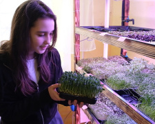 Бізнес-конструктор «Розумний город»: криворізькі школярі завдяки вирощеній мікрозелені донатять на ЗСУ