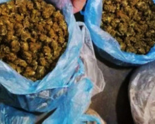 У жителя Кривого Рога полицейские изъяли наркотические вещества на полмиллиона гривен (ФОТО)