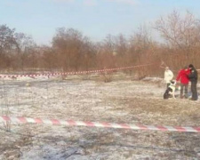 В Кривом Роге собака откопала тело ребенка