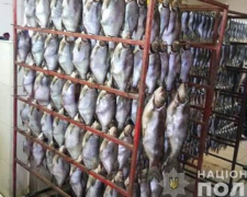 Коптили рыбу неизвестным веществом: на Днепропетровщине полиция выявила подпольное производство (фото)