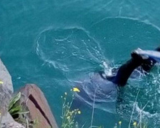 В Кривом Роге установили личность выловленого тела в Карачуновском водохранилище