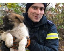 На Дніпропетровщині рятувальники допомогли маленькому цуцику