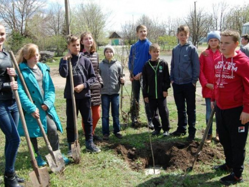 Школьники Широковского района в рамках акции "ЭкоЛайф" проводят озеленение (фото)