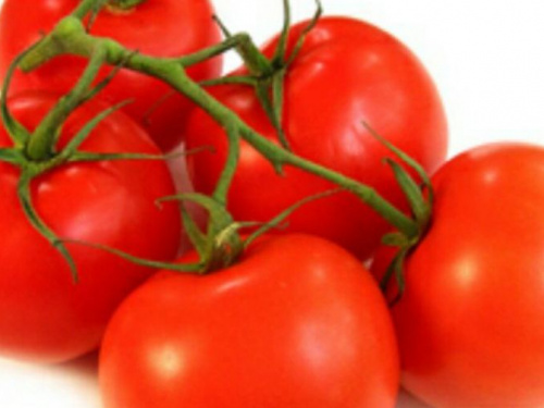 На Днепропетровщине обнаружили более 20 тонн зараженных помидоров