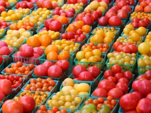 В Україні подешевшали тепличні томати: що прогнозують