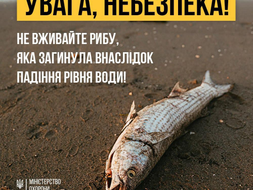 Не вживайте рибу, яка загинула через падіння рівня води – МОЗ попереджає