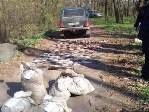 В Криворожском районе задержали браконьеров с крупным уловом (фото)