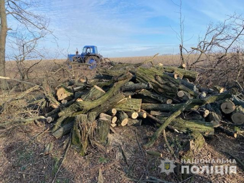 Поліція  Дніпропетровщини затримали зловмисників, які незаконно нарубали дров на 300 тисяч гривень