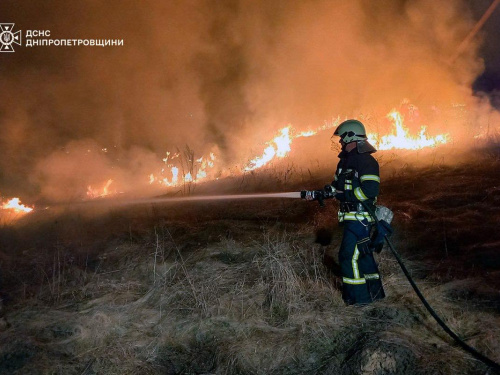 На Дніпропетровщині затримали підпалювачів сухостою у природних екосистемах: що їх очікує