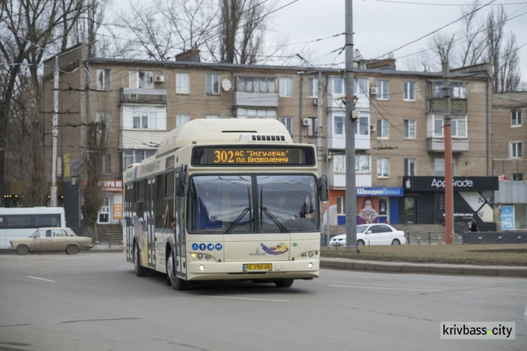 Криворіжець пропонує замінити маршрутки на автобуси та тролейбуси