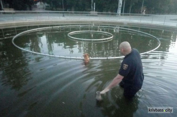На микрорайоне Ингулец спасатели достали собаку, которая упала в фонтан