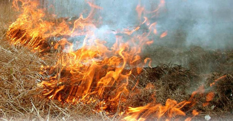 В Кривом Роге пожары за сутки уничтожили 11 га сухой травы (АДРЕСА)
