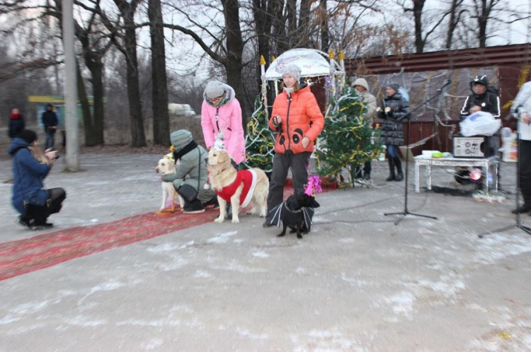 В Кривом Роге состоялся новогодний карнавал для собак (ФОТОРЕПОРТАЖ)
