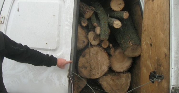 На Днепропетровщине поймали очередных "черных лесорубов"
