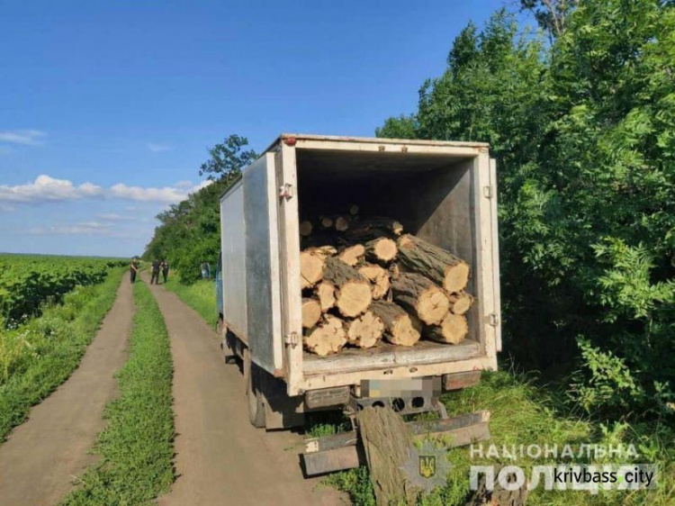 В Криворожском районе полицейские задержали браконьера на грузовике