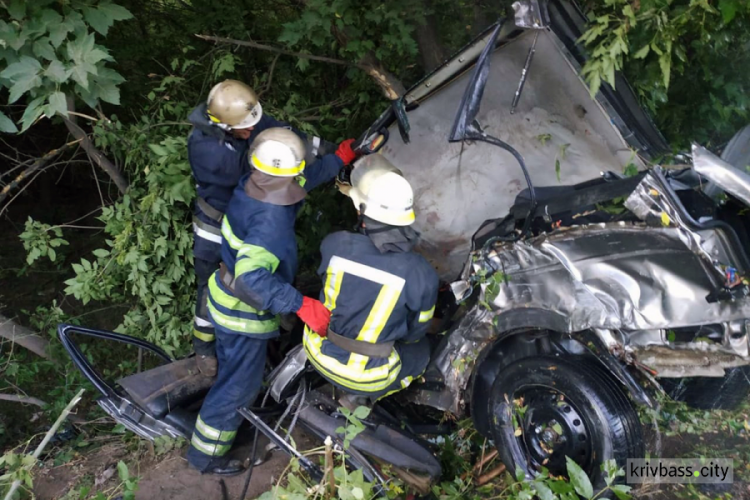 В Терновском районе иномарка слетела с дороги и врезалась дерево: погибли два человека