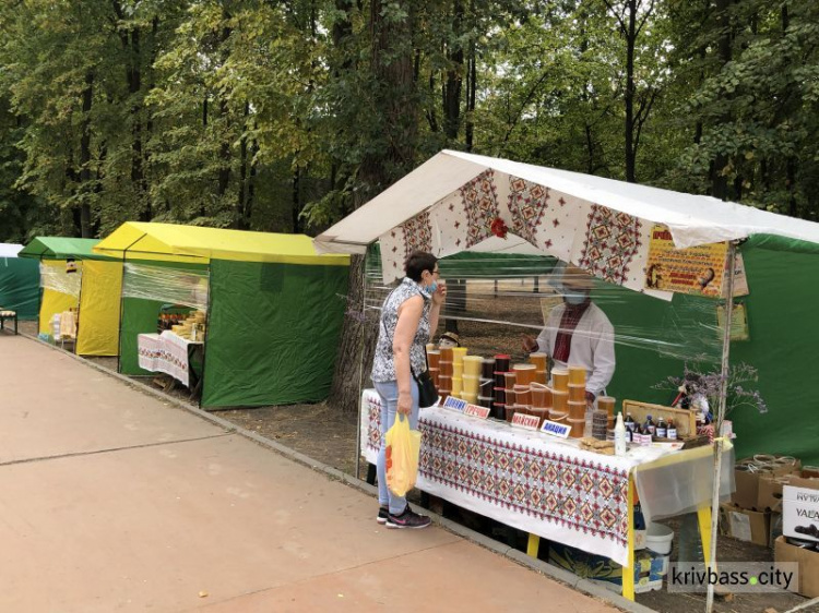 В парке имени Гагарина стартовала 10-я медовая ярмарка