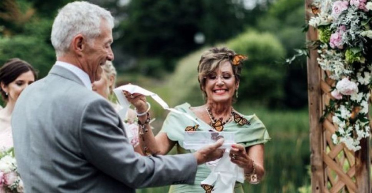Выпущенные на свадьбе бабочки преследовали гостей (ФОТО) 