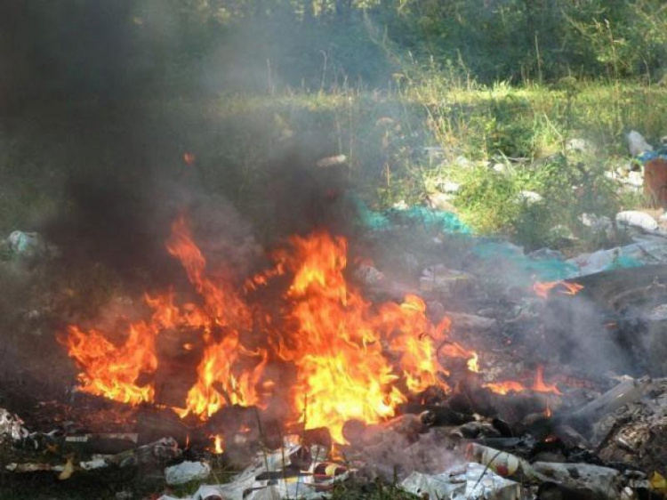 Из-за поджога мусора в Саксаганском районе повреждена иномарка