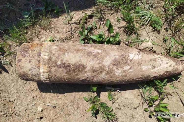 В Криворожском районе нашли 29 старых боеприпасов