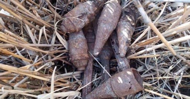 Вместо грибов - снаряды: в Криворожском районе нашли опасные предметы