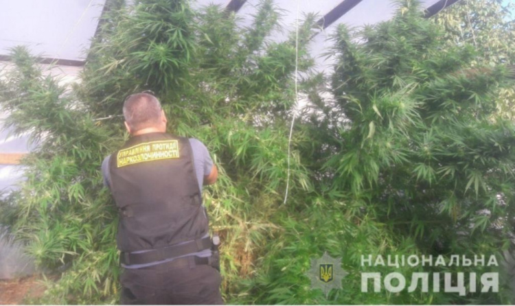 На Днепропетровщине правоохранители подвели итоги операции "Мак" (фото)