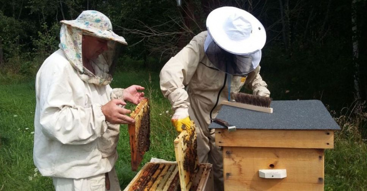 В Кривом Роге соберутся пчеловоды-международники