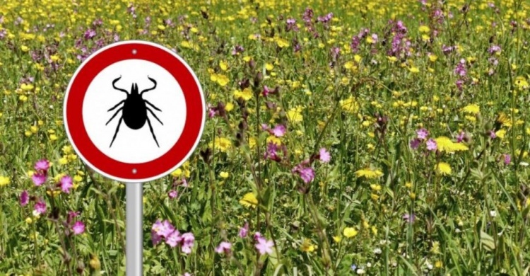 Жителей Кривого Рога предупреждают об укусах опасных насекомых
