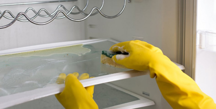 Як очистити холодильник: прості поради для сяяння