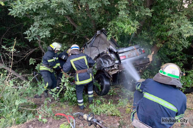 В Терновском районе иномарка слетела с дороги и врезалась дерево: погибли два человека
