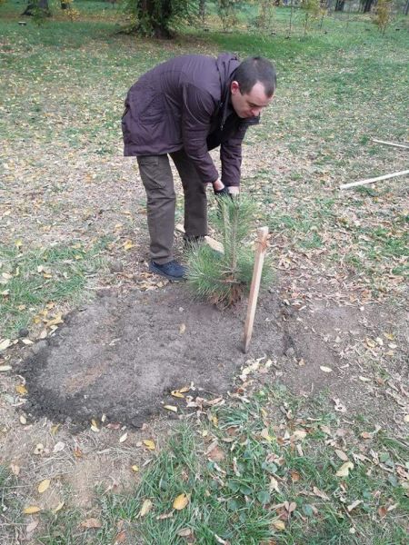 В Кривом Роге появилась сосновая аллея: в одном из парков города началась традиционная высадка деревьев (ФОТО)