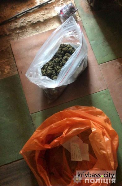 У жителя Кривого Рога изъяли наркотиков на 24 тысячи гривен