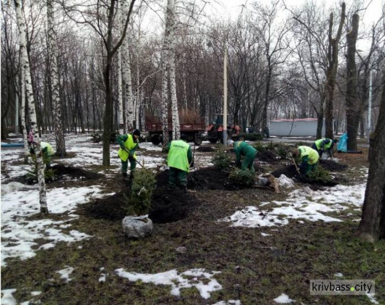 В Кривом Роге начались озеленения районов (ФОТО)