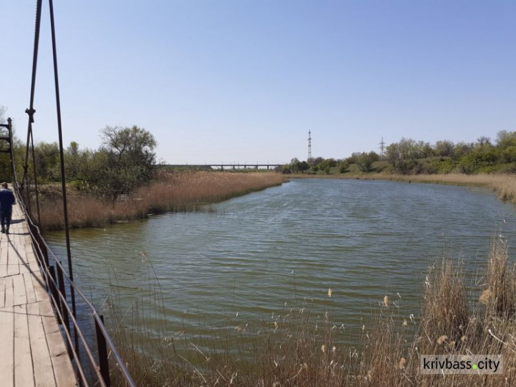 В Кривом Роге необходимо промывать реку Саксагань - экологи 