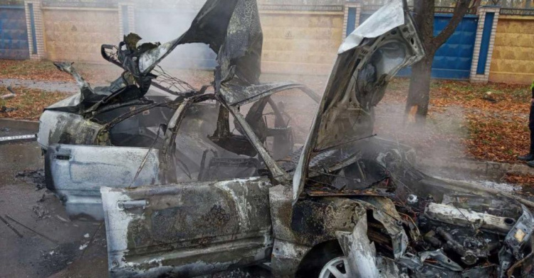В Кривом Роге после удара в дерево загорелся автомобиль (фото)