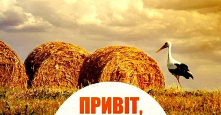 Скільки відпочиватимуть українці у серпні: календар вихідних і святкових днів
