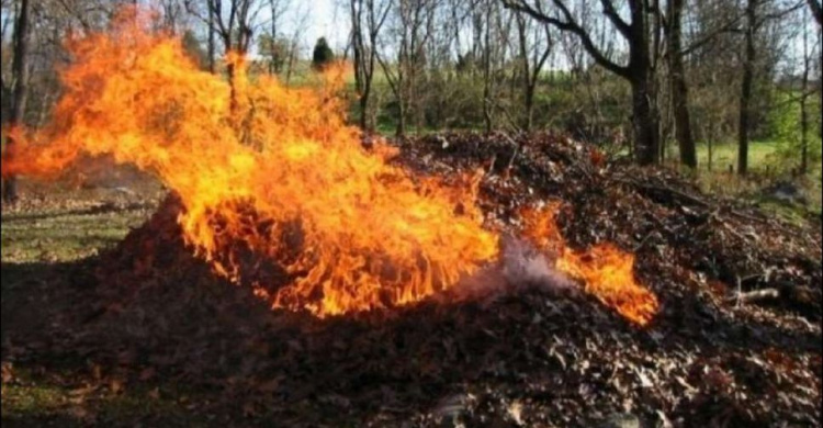 Криворожан хотят серьезно наказывать «гривной» за сжигание листьев и мусора