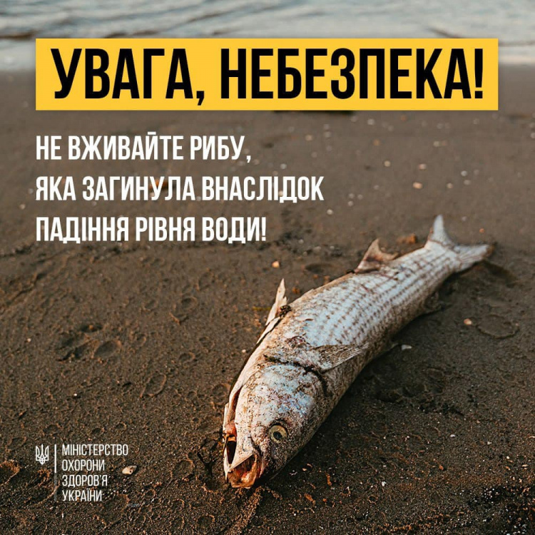 Не вживайте рибу, яка загинула через падіння рівня води – МОЗ попереджає